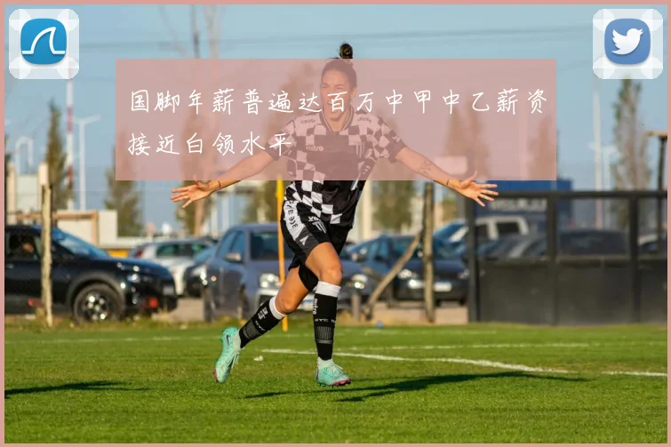 国脚年薪普遍达百万中甲中乙薪资接近白领水平