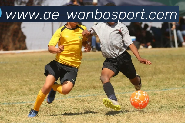 万博足球官网品牌故事